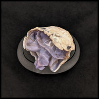 PCHT102 Purple Chalcedony Turtle Carving