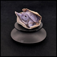 PCHT102 Purple Chalcedony Turtle Carving