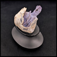 PCHT102 Purple Chalcedony Turtle Carving