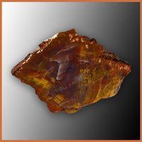 PET254 Arizona Petrified Wood Polished Slab