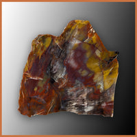 Petrified Wood, Arizona Select, Rough Rock, per lb