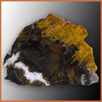 Petrified Wood, Arizona Select, Rough Rock, per lb