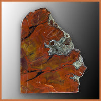 PET266pr Arizona Petrified Wood Bookend Pair