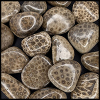 Petoskey Stone Pebble