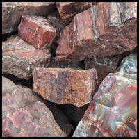 Petrified Wood, Arizona Select, Rough Rock, per lb