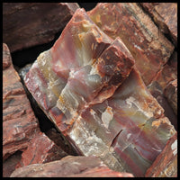 Petrified Wood, Arizona Select, Rough Rock, per lb