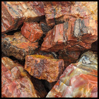 Petrified Wood, Arizona Select, Rough Rock, per lb