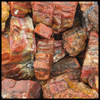 Petrified Wood, Arizona Select, Rough Rock, per lb