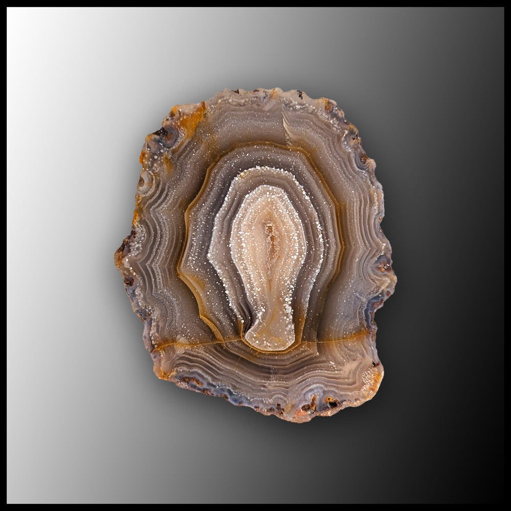 Picacho Agate, Rough Rock, per lb| The Gem Shop, Inc.