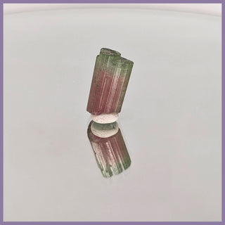 PKMT121 Paprok Mine Tourmaline