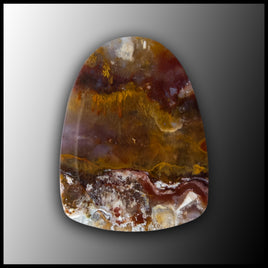 PLU142c Sunny Slope Plume Agate Cabochon