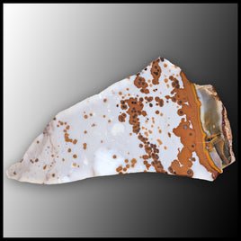POD105tr Polka Dot Agate Slab