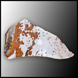 POD107tr Polka Dot Agate Slab