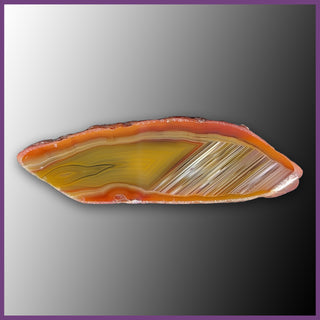 QUE101JR Agate Creek Agate Specimen