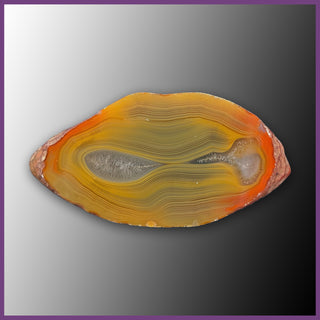 QUE102JR Agate Creek Agate Specimen