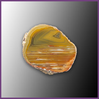 QUE104JR Agate Creek Agate Specimen