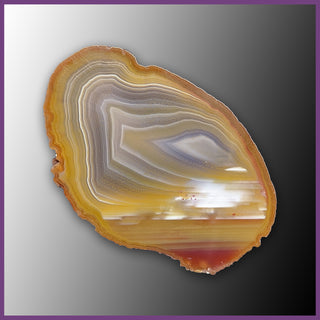 QUE109JR Agate Creek Agate Specimen