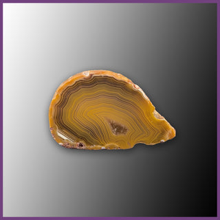 QUE112JR Agate Creek Agate Specimen