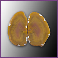 QUE113JR Agate Creek Agate Specimen