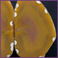 QUE113JR Agate Creek Agate Specimen