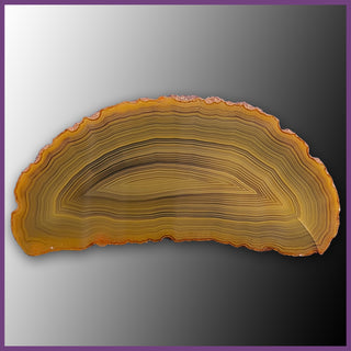 QUE116JR Agate Creek Agate Specimen