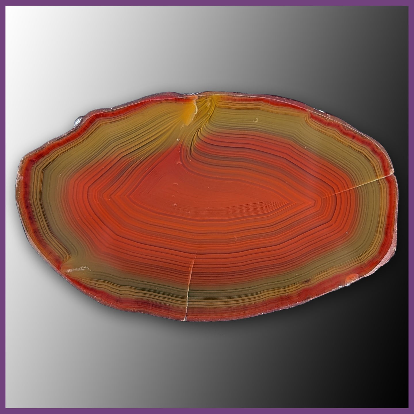 QUE117JR Agate Creek Agate Specimen| The Gem Shop, Inc.