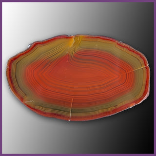 QUE117JR Agate Creek Agate Specimen