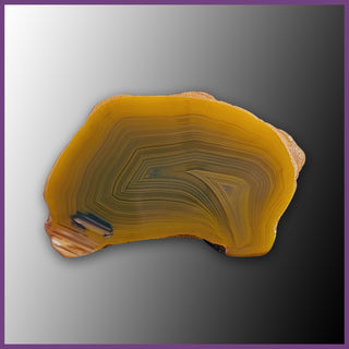 QUE119JR Agate Creek Agate Specimen
