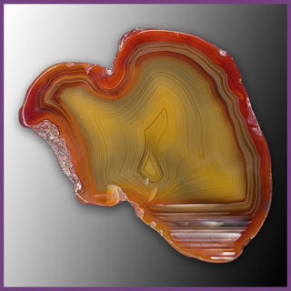 QUE121JR Agate Creek Agate Specimen