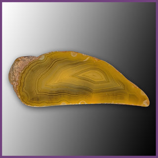 QUE123JR Agate Creek Agate Specimen
