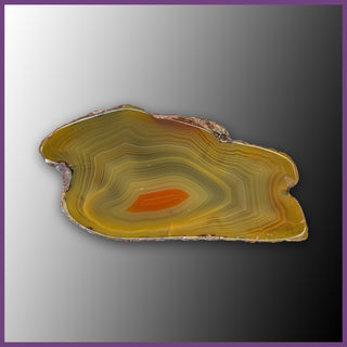 QUE124JR Agate Creek Agate Specimen