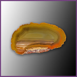 QUE125JR Agate Creek Agate Specimen