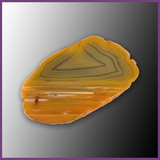 QUE126JR Agate Creek Agate Specimen