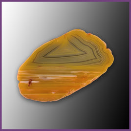 QUE126JR Agate Creek Agate Specimen