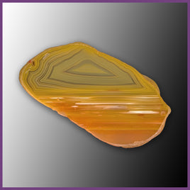 QUE127JR Agate Creek Agate Specimen