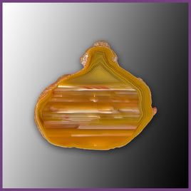QUE128JR Agate Creek Agate Specimen