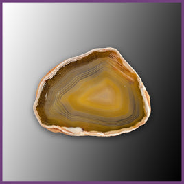 QUE130JR Agate Creek Agate Specimen