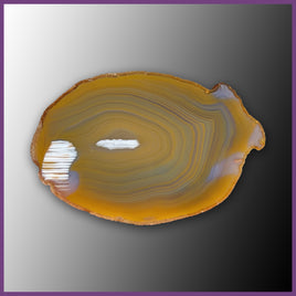 QUE131JR Agate Creek Agate Specimen