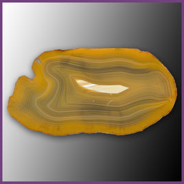 QUE132JR Agate Creek Agate Specimen