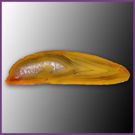QUE137JR Agate Creek Agate Specimen
