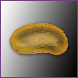 QUE139JR Agate Creek Agate Specimen
