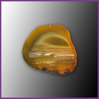 QUE140JR Agate Creek Agate Specimen