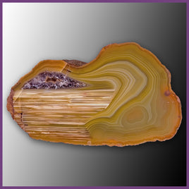 QUE143JR Agate Creek Agate Specimen