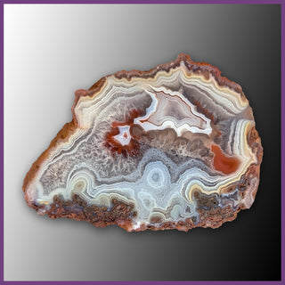 QUE144JR Agate Creek Agate Specimen