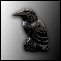 Onyx Raven, Medium