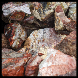 Laguna Lace Agate, Rough Rock, per lb
