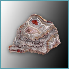 REL106 Laguna Lace Agate Specimen