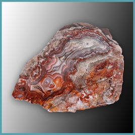REL107 Laguna Lace Agate Specimen