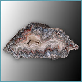 REL108 Laguna Lace Agate Specimen