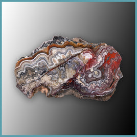 REL110 Laguna Lace Agate Specimen